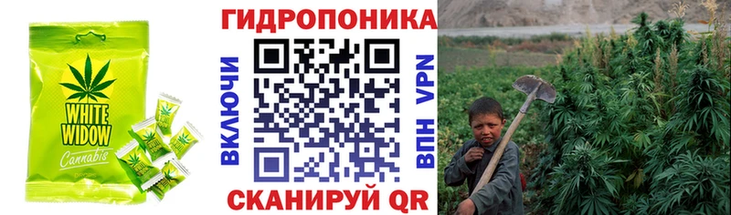 Cannafood марихуана  Купить закладки  Егорьевск 