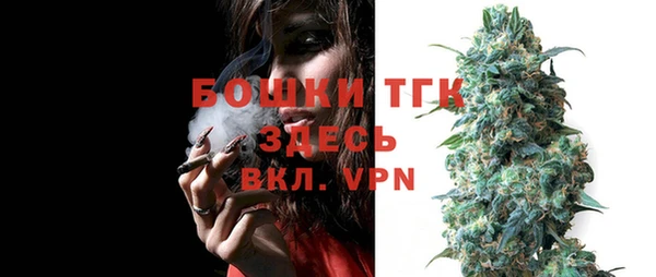 сатива Инта