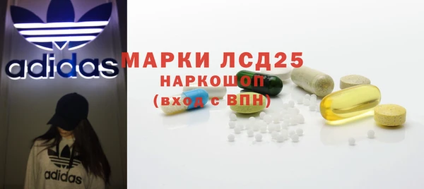 сатива Инта