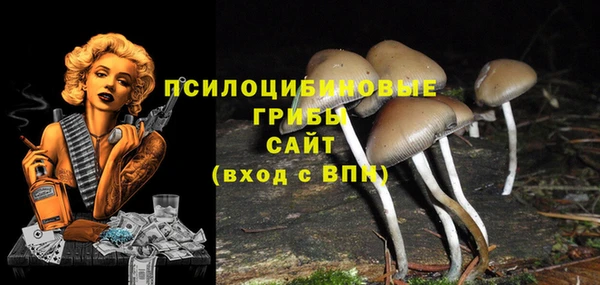 mix Каменск-Шахтинский