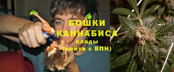 сатива Инта